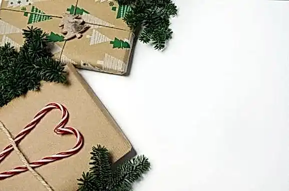 JVspin промокод 70b836